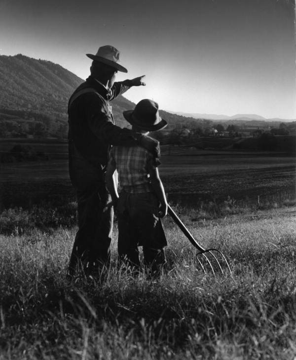 Jung on the Father and Fathers