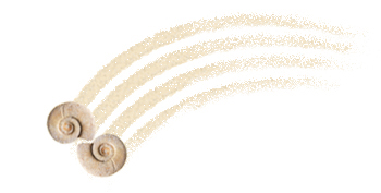 German Society for Sand Play Therapy