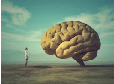 The Mystery Of Consciousness; A Jungian Perspective