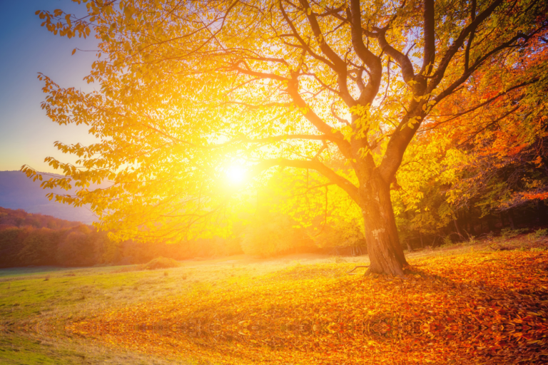 Growing Older: A Process of Deepening