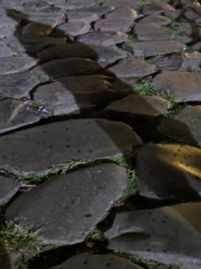 Light and Shadow: A Visitation through Art
