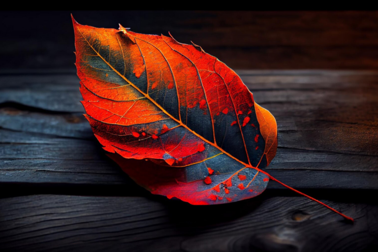 Aging as Spiritual Practice: A Rite of Passage for Stepping into the Elder Archetype