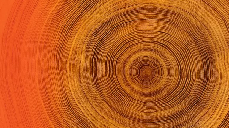 Aging in a Soulful Way