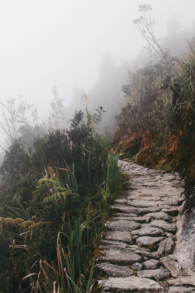 Spontaneous Drawing: Defining the Path
