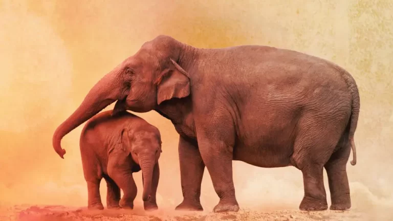 Motherhood