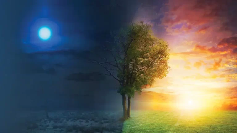 The Jungian Self and the monotheistic image of God: A study in contrasts