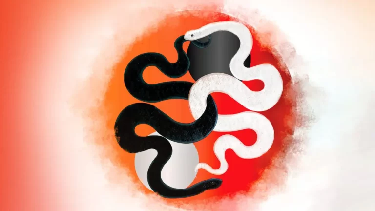 Shadow from an Eastern and Jungian Perspective