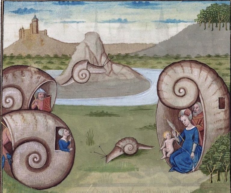 The Spiral