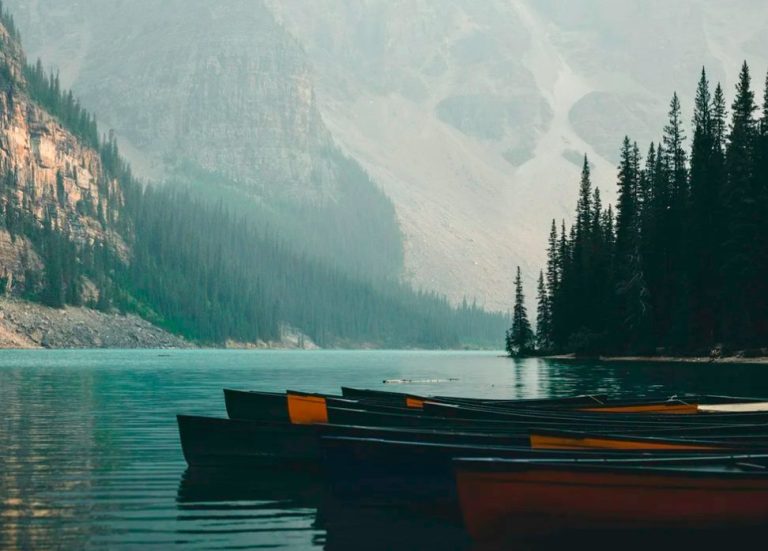 The Jungian Journey: Explore Jungian psychology’s core themes and their influence on your life