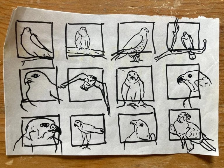 Archetypal Animals Studio